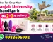 sex toy shop near Panjab University Chandigarh